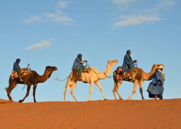 10 Days Casablanca Desert Tour