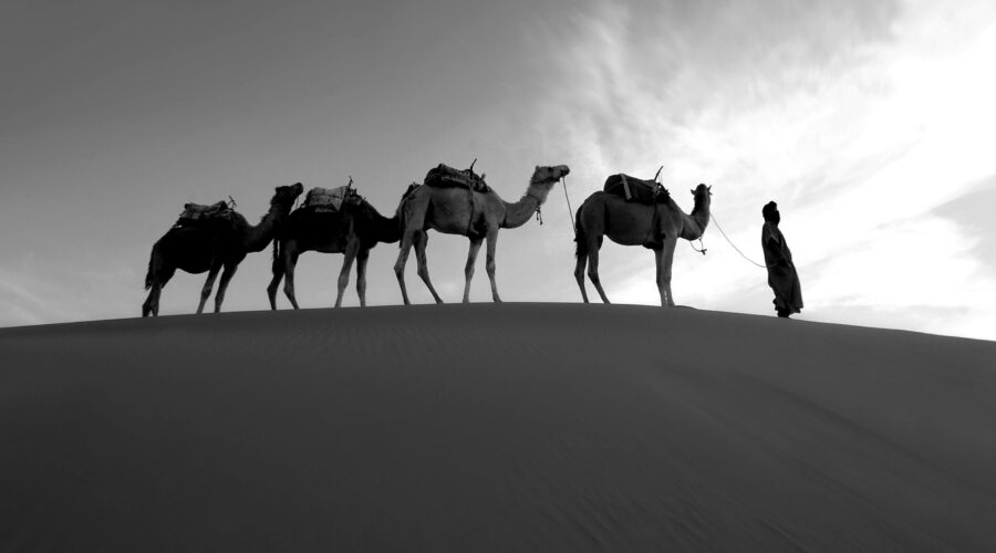 2 Days Ouarzazate Desert Tour