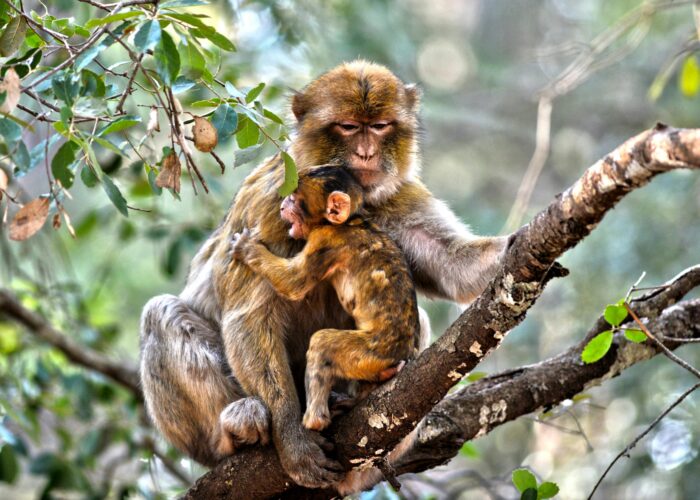 3 Days Fes Desert Sahara Trip