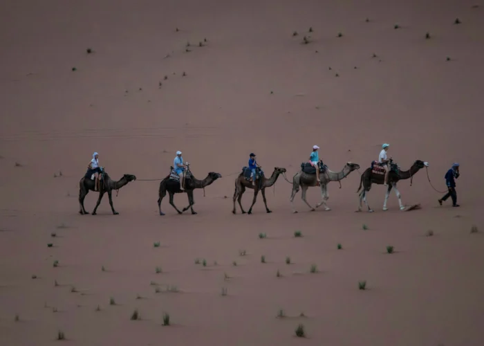 Fes to Marrakech Desert Tour 3 Days
