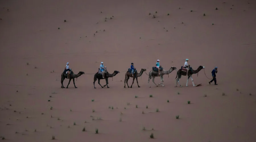 Fes to Marrakech Desert Tour 3 Days